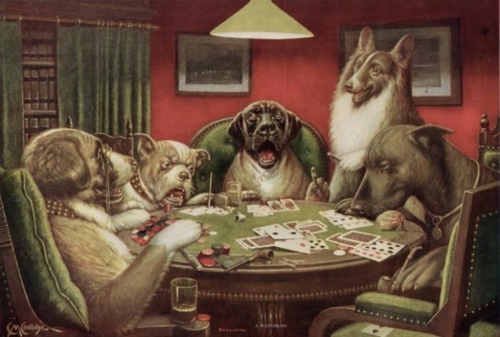 Koiria pelaamassa korttia
